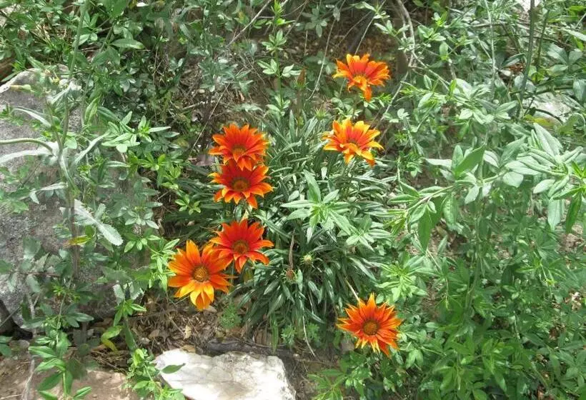 Aamiaismajoitus (B&B) Peperina Lago Los Molinos