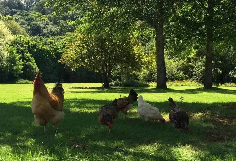 ホテル Bramleigh Farm