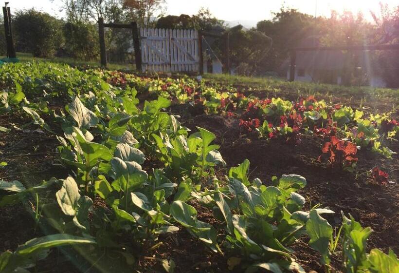 酒店 Bramleigh Farm