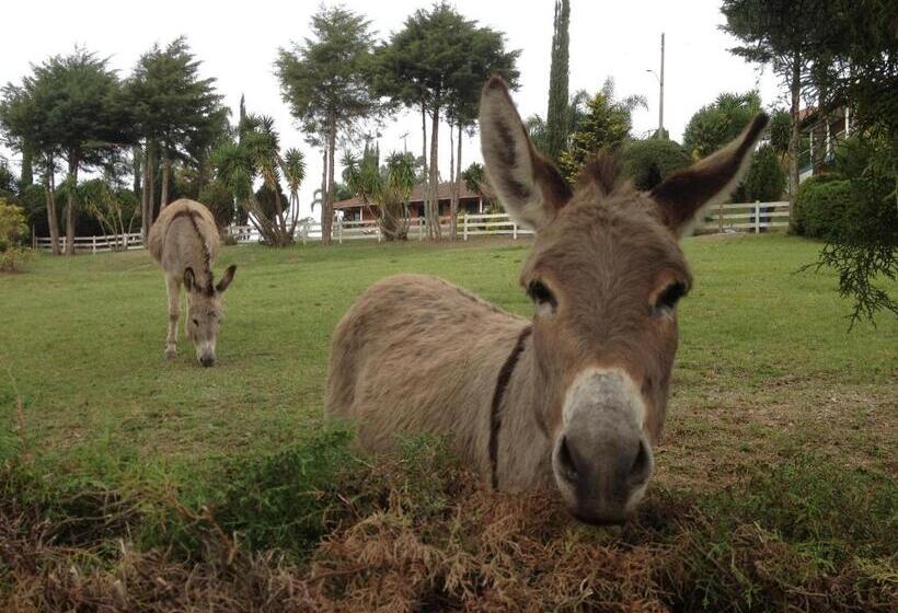 Hotel E Parque Das Tuias