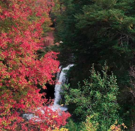 Hotel Refugio De Montaña El Huape