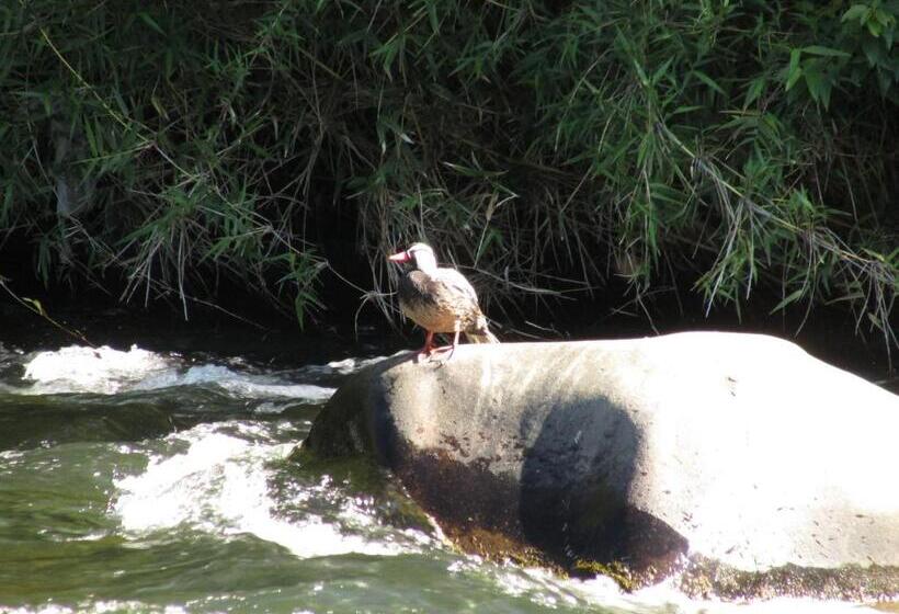 Hotel Refugio De Montaña El Huape