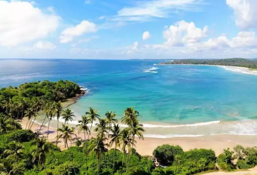 Hotelli The Salty Pelican Yoga & Surf Retreat