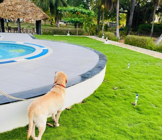 Joe S Beach Shack Beach Resort, Ramanathapuram