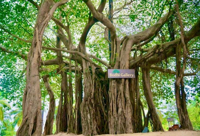 Joe S Beach Shack Beach Resort, Ramanathapuram