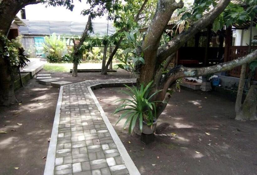 بنسيون Bausasran52