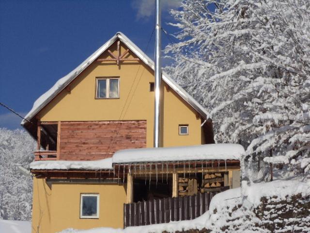 ペンション Complex Summertime