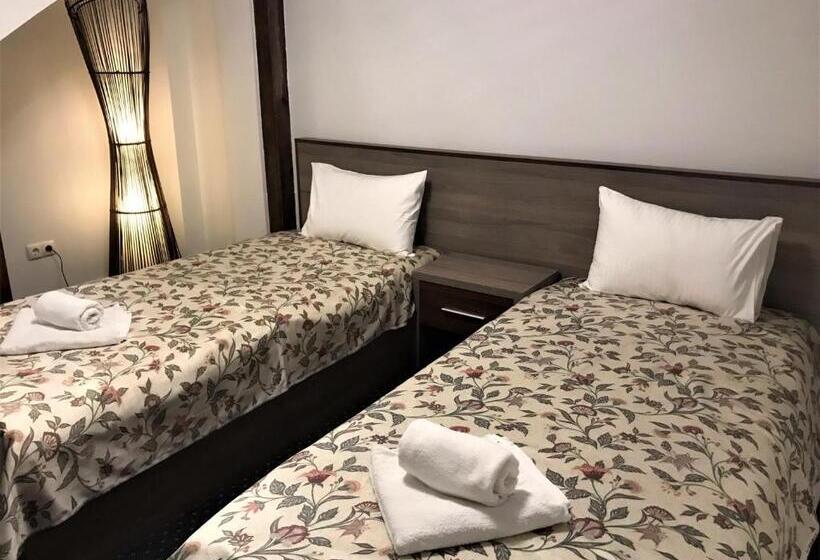 ペンション Complex Summertime