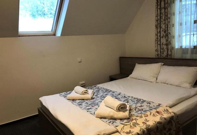 ペンション Complex Summertime