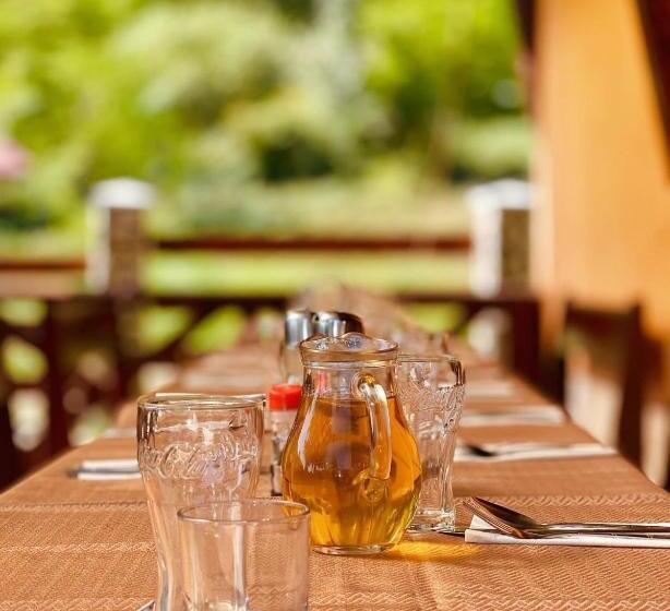 بنسيون Poarta Apusenilor