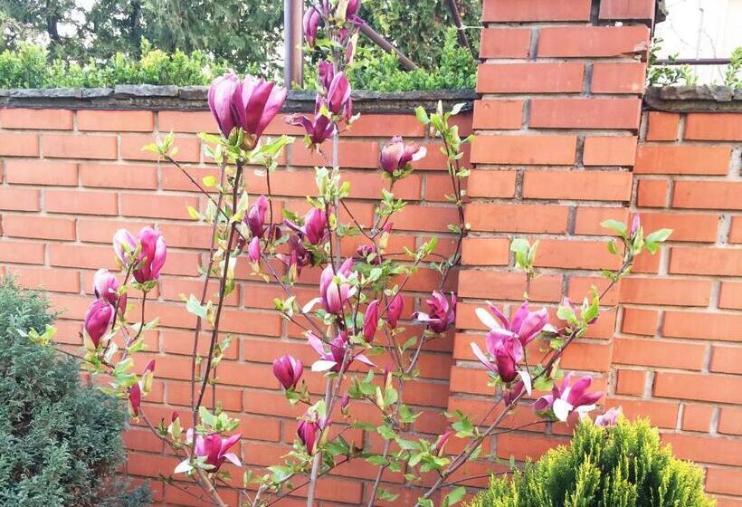 بنسيون Saban Deluxe