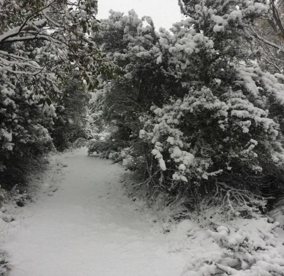 Пансион Scout Hall