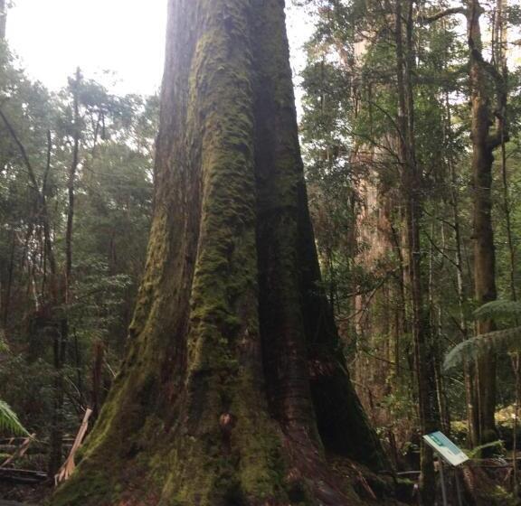 Пансион Scout Hall