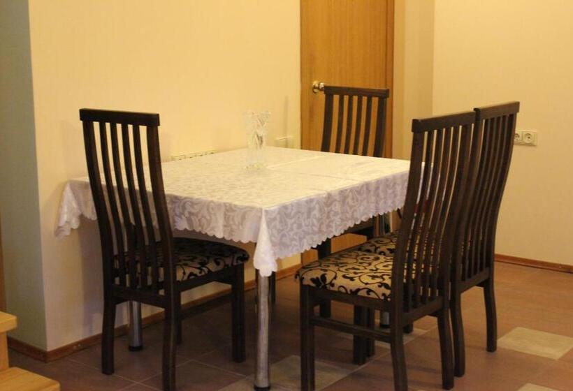 پانسیون Vidų Guest House