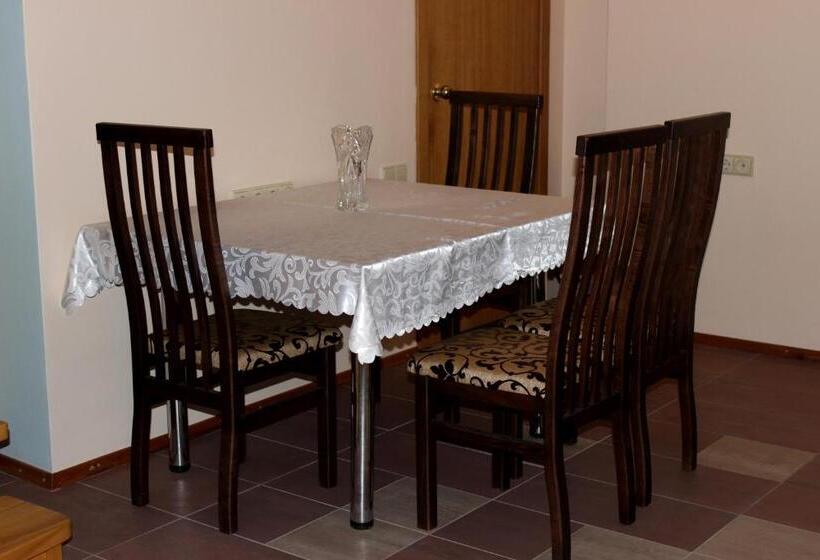 پانسیون Vidų Guest House