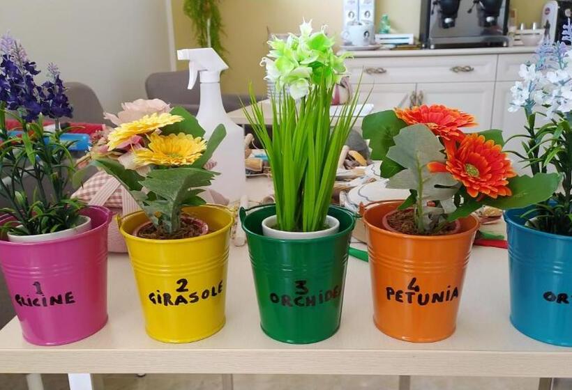 膳宿费 Villa Milla