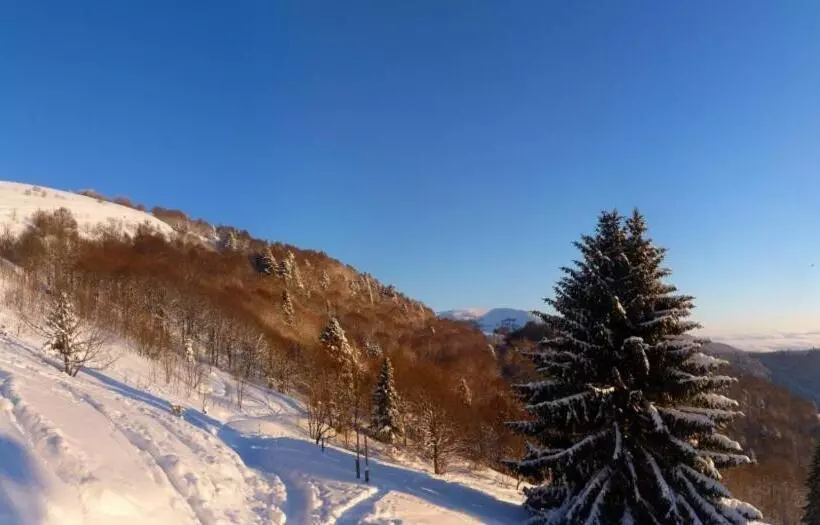 Aamiaismajoitus (B&B) Chambres D Hôtes Les Rondins De La Fecht