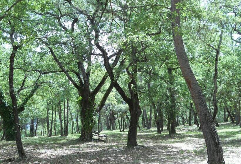 مبيت وإفطار Le Mas De La Pinède