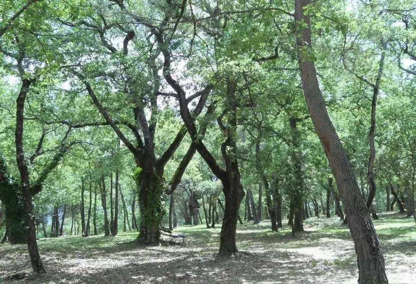 Aamiaismajoitus (B&B) Le Mas De La Pinède