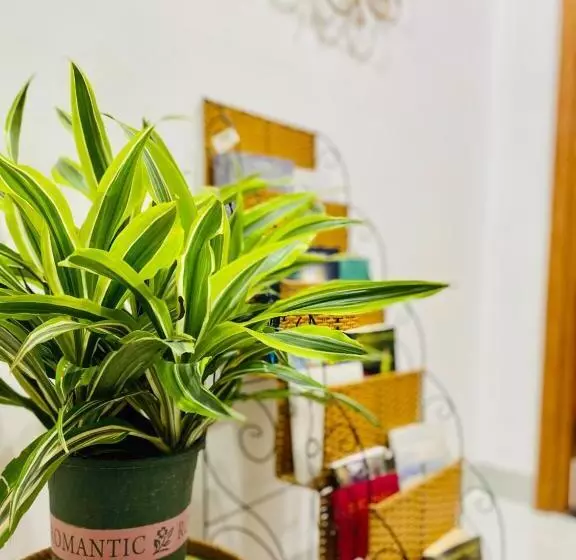 تختخواب و صبحانه Nắng Homestel Tây Ninh