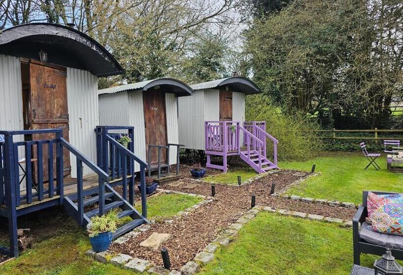 تختخواب و صبحانه Glamping At The Fox Inn Bramdean