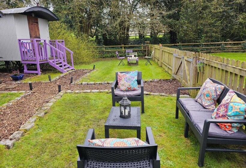 تختخواب و صبحانه Glamping At The Fox Inn Bramdean