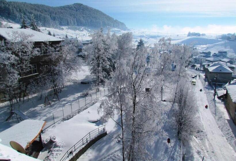 酒店 Boryka Family