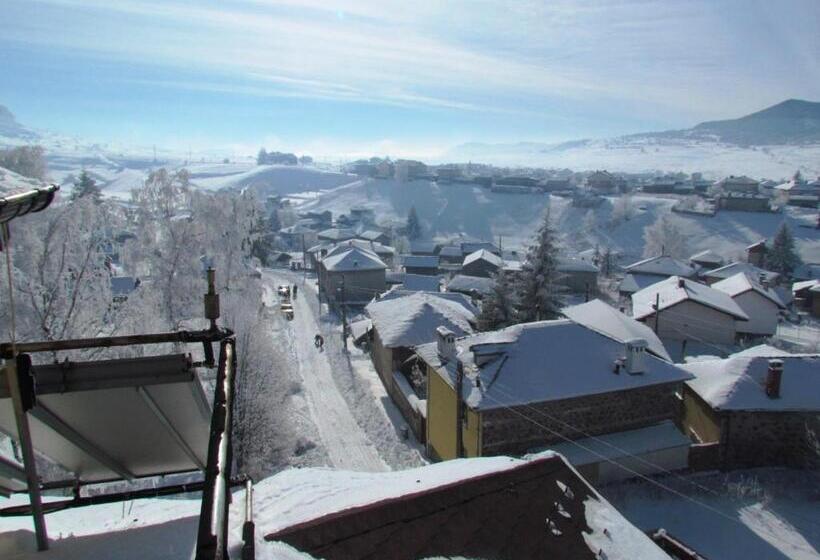 酒店 Boryka Family