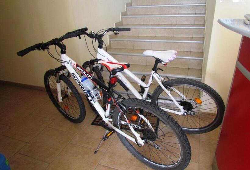 酒店 Boryka Family