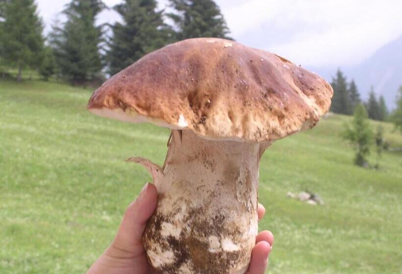 酒店 Pizzo Del Frate