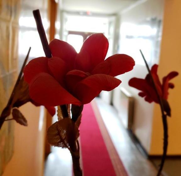 Pension Hostal Torres Del Paine 2