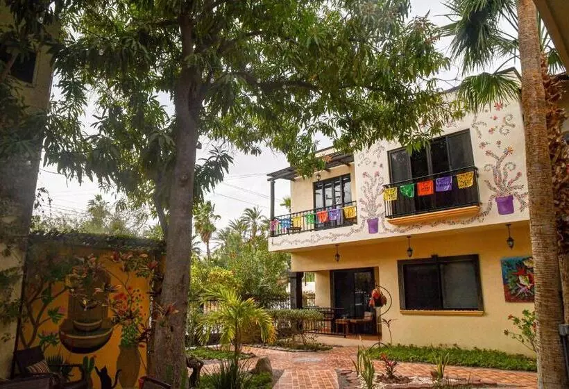 Retkeilymaja Casa Mangos Loreto