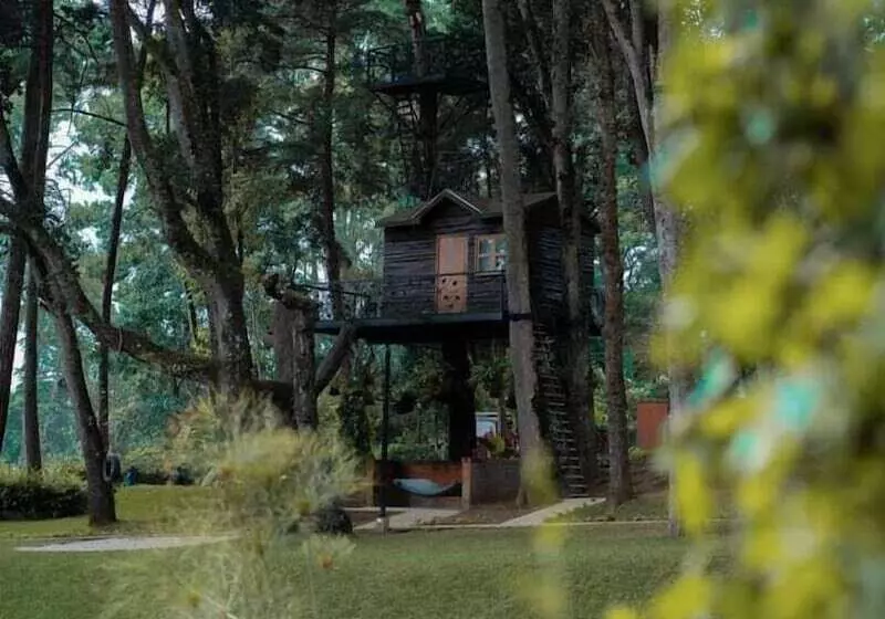 هتل Asgard Resort