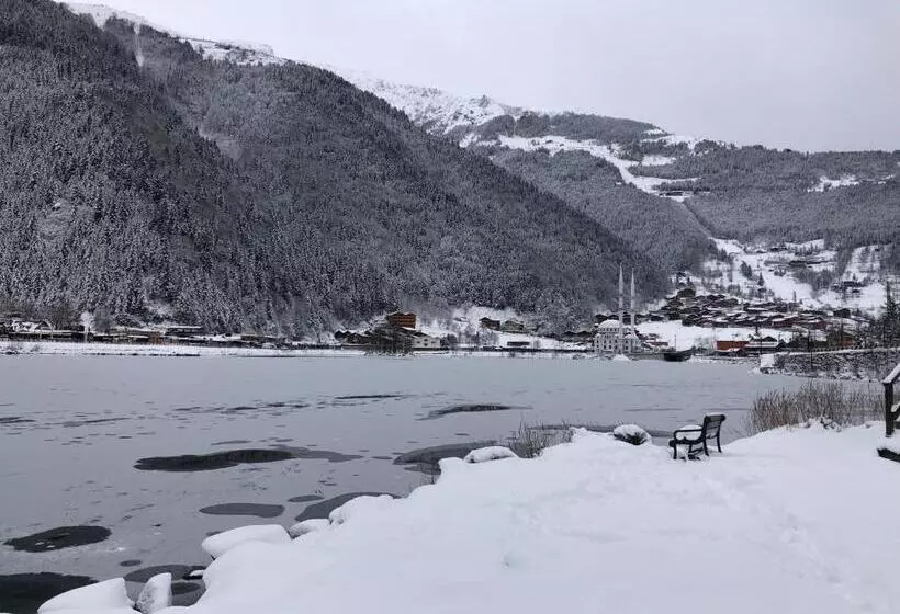 هتل Cerrahpasa Suite