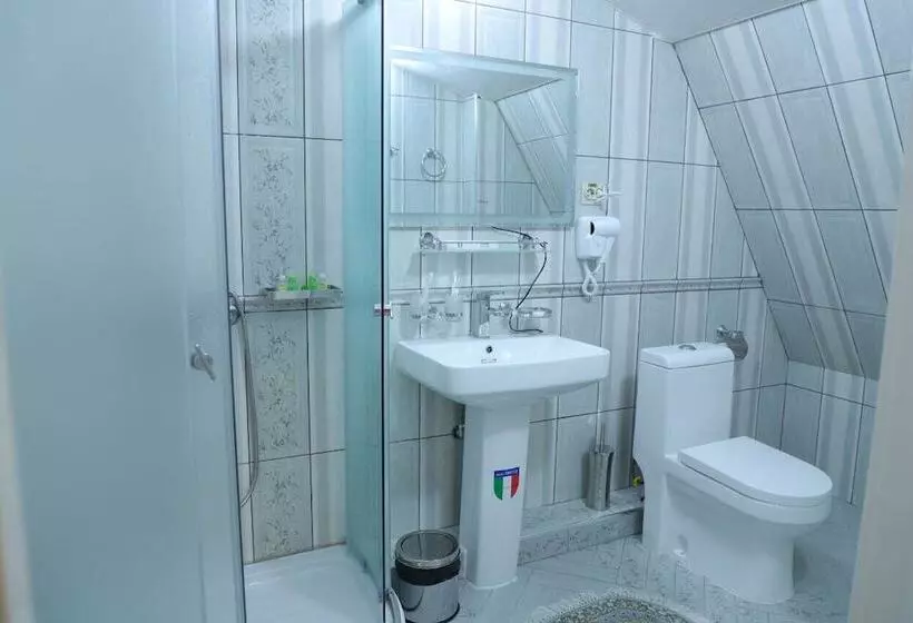 Hotelli Renaissance Butik