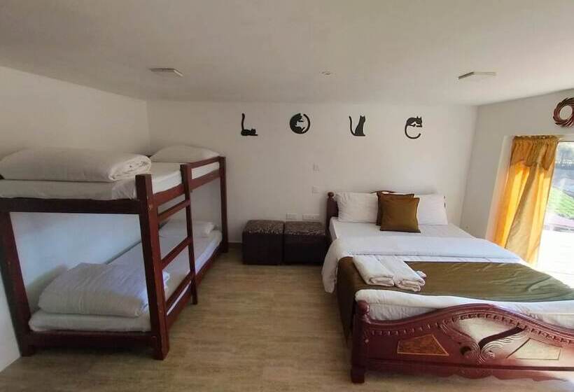 בית מלון כפרי The 643 Holiday Homes