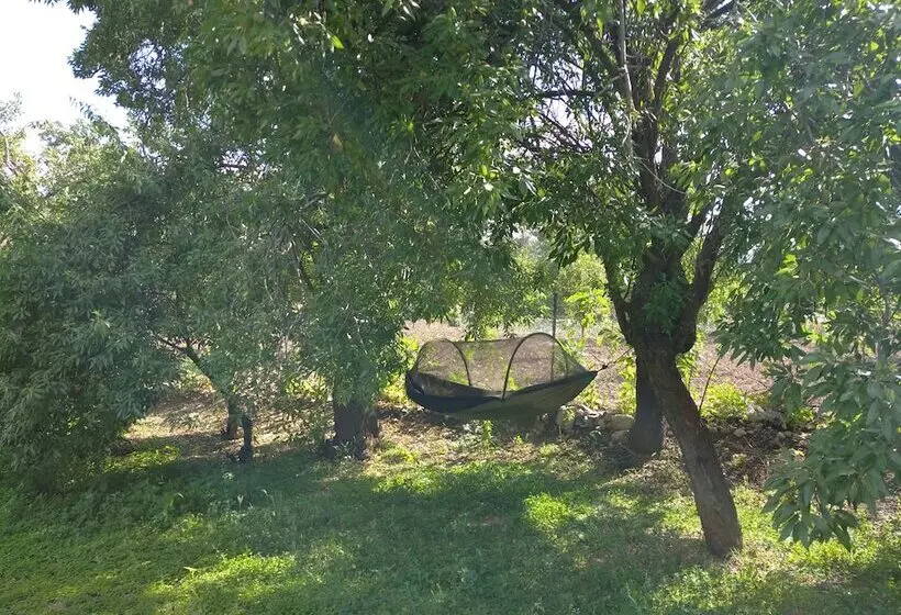 Aamiaismajoitus (B&B) Koca Kapı Konaklama