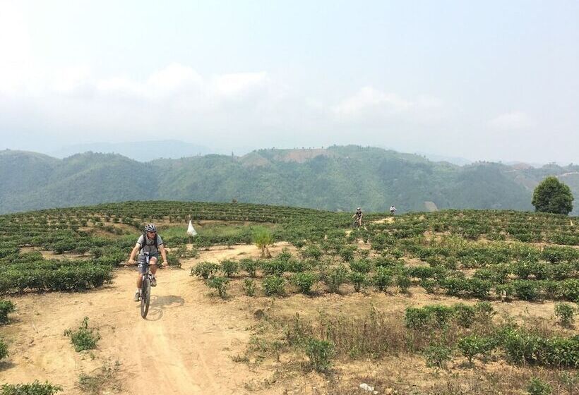 تختخواب و صبحانه Sapa Farmstay