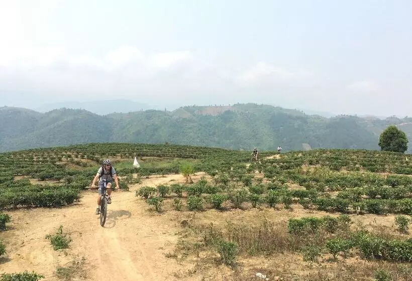 تختخواب و صبحانه Sapa Farmstay