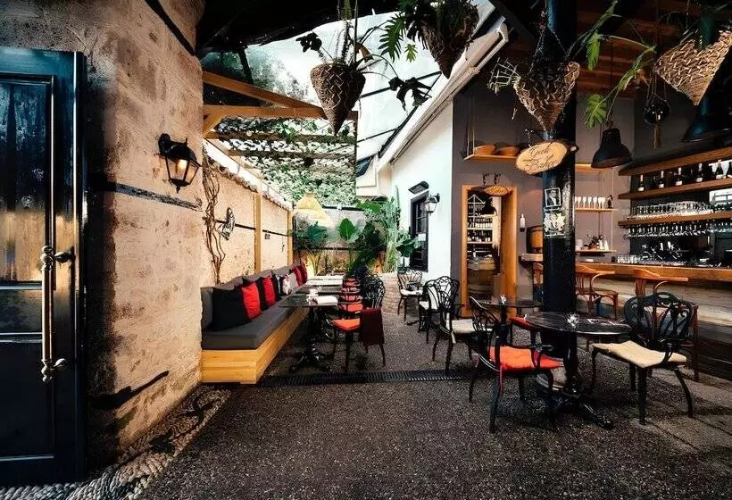 Hostelli Grace Lounge Premium