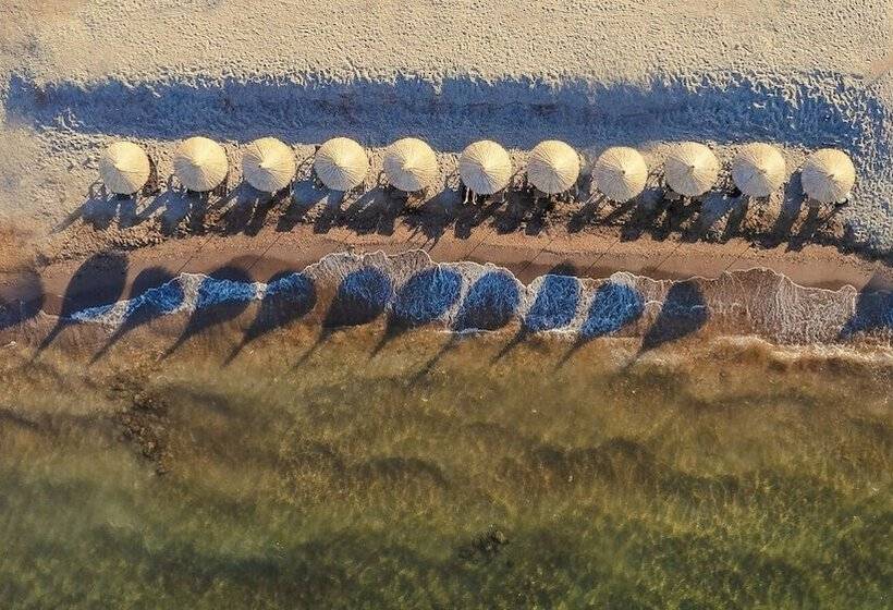 Hostel Leone Cunda Edition Otel