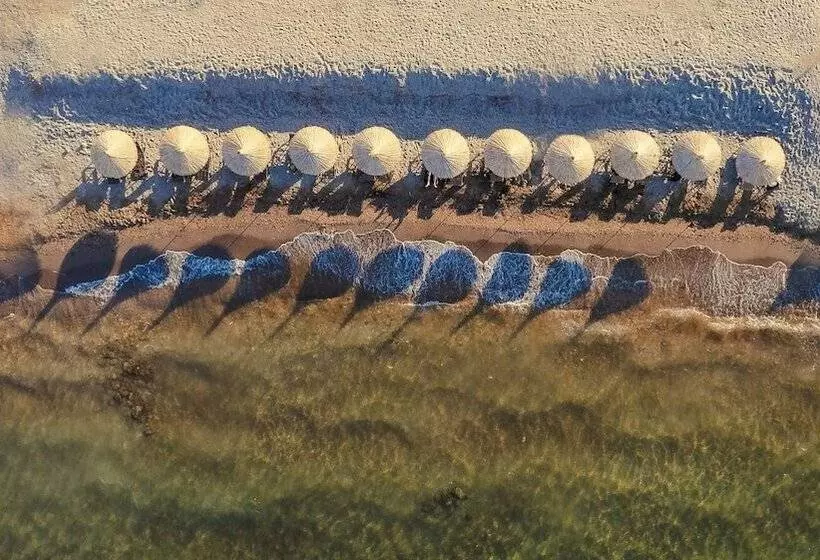 簡易ホテル Leone Cunda Edition Otel