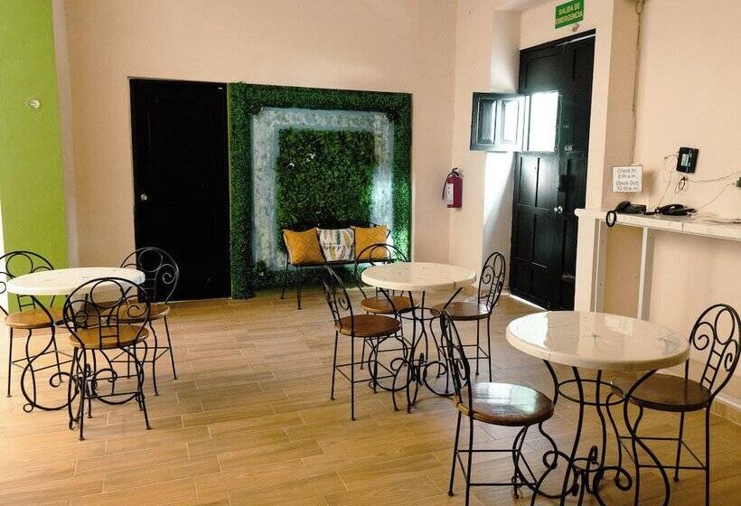 Szálloda Hostel Nido Del Colibrí