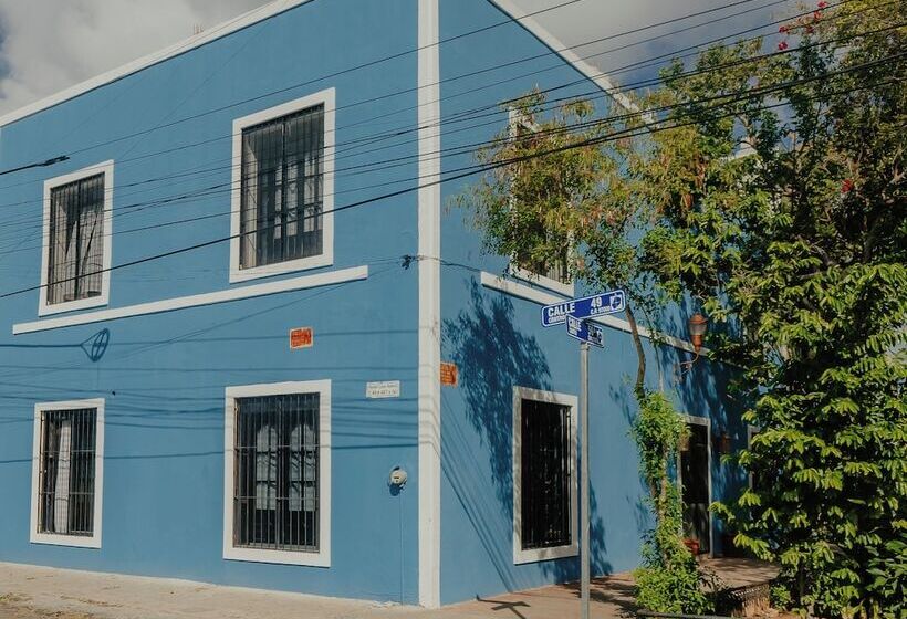 Szálloda Hostel Nido Del Colibrí