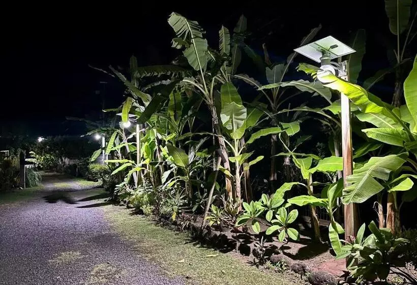 هتل Pare Lodge Tahiti