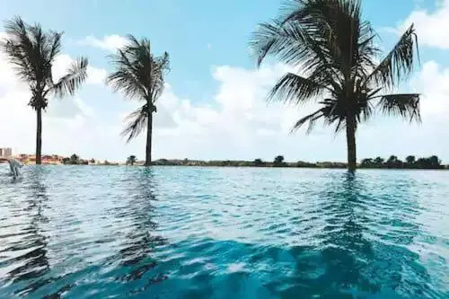 ホテル Salinas Park Resort