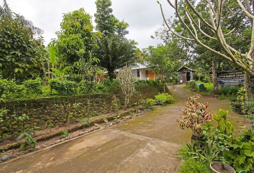 Hotel Spot On 92567 Jati Homestay Near Taman Suranadi