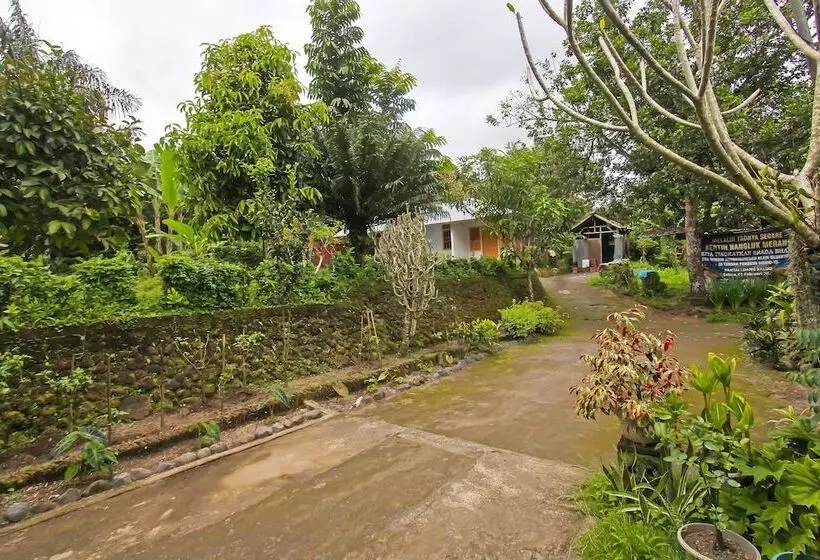 Hotelli Spot On 92567 Jati Homestay Near Taman Suranadi