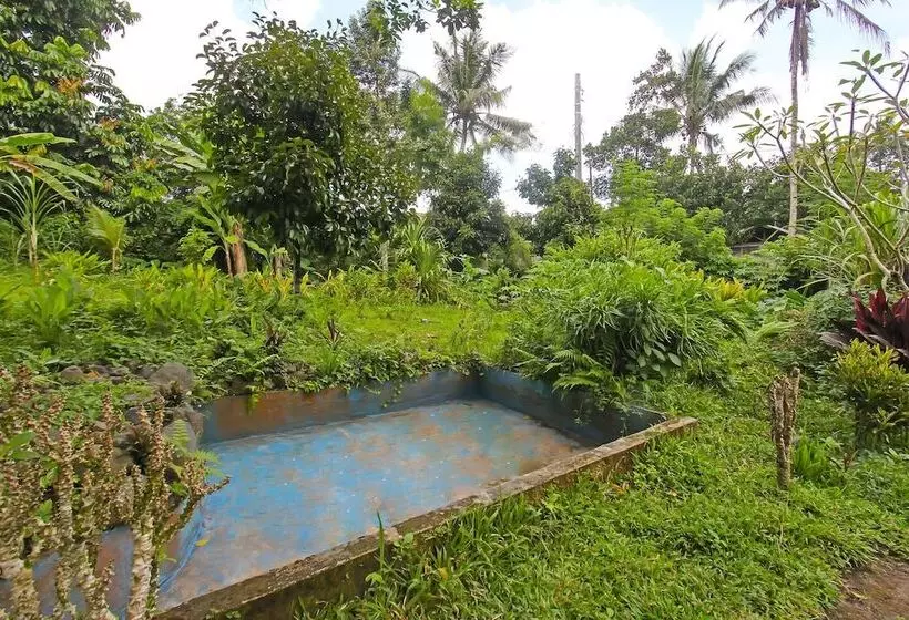 Hotelli Spot On 92567 Jati Homestay Near Taman Suranadi