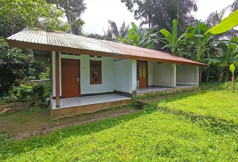 Hotelli Spot On 92567 Jati Homestay Near Taman Suranadi